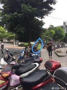 玉林广场爆料视频最新,揭秘惊人真相! 第3张 玉林广场爆料视频最新,揭秘惊人真相! 第3张